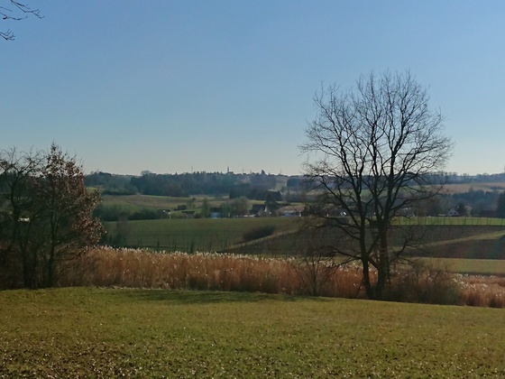 Blick auf die Hallertauer Hügellandschaft
