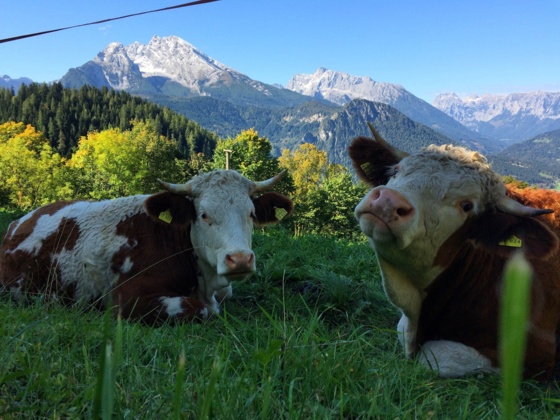 Auf dem Weg zum Königssee