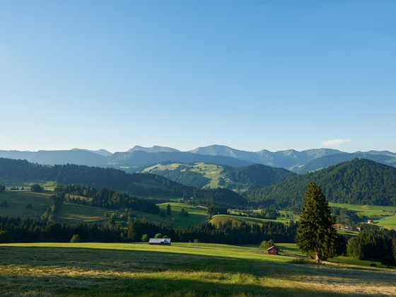 Panoramablick auf die Nagelfluhkette