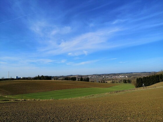 Aussicht vom Fuchsberg auf die Umgebung