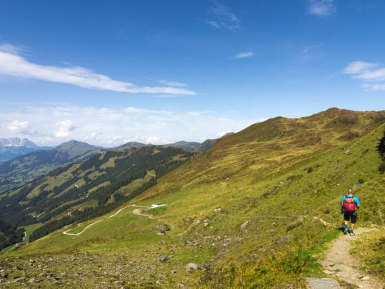 Der Kamm vom Laub- bis zum Saalkogel vom Tor kommend gesehen.