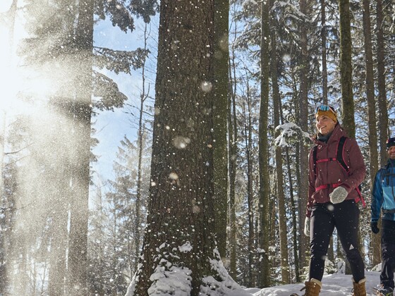 Winterwandern
