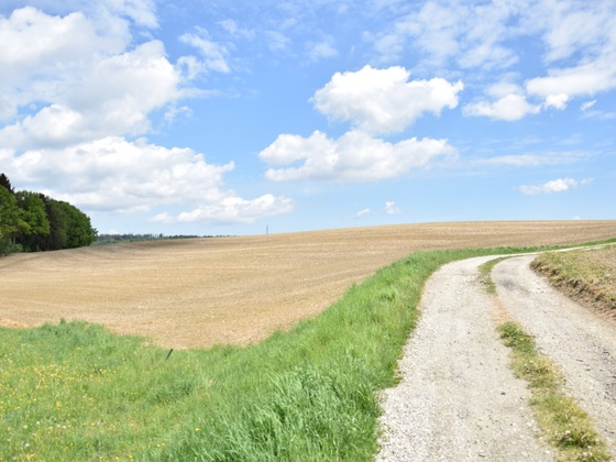 Blick in die Landschaft bei Stagl