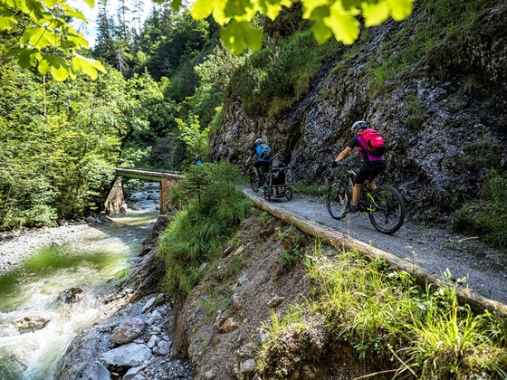 Wildenbachschlucht