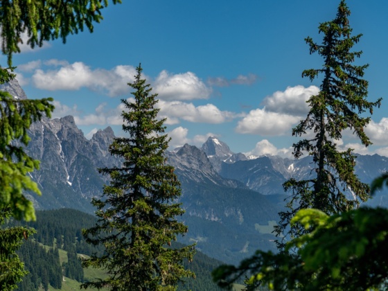 Ausblick vom Maisereck auf die Leoganger Steinberge