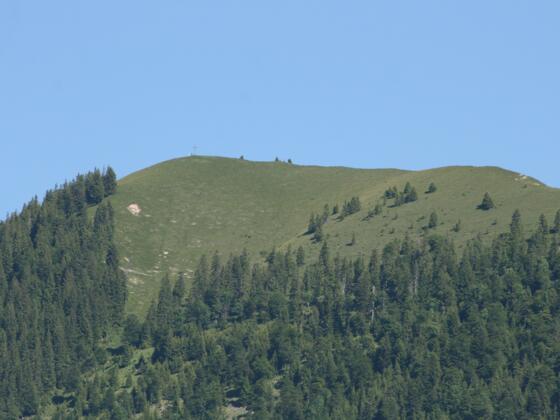 Hirschhörndlkopf