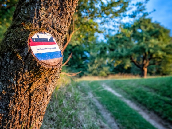 Markierung Heidecker Burgenweg