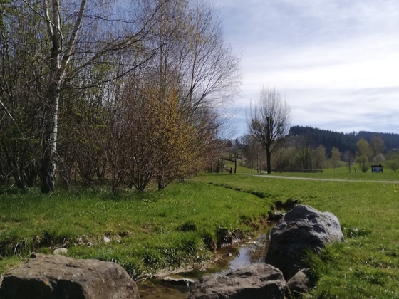 Die Rohrach