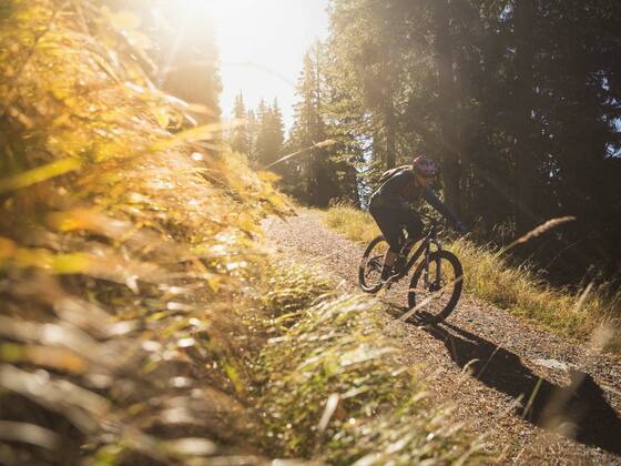 Bike-Trail Wildkogel