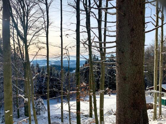 Ausblick beim Wandern im Winter im Hochfichtgebiet