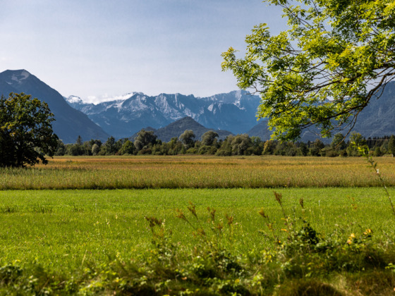 Blick über Moor auf Zugspitzmassiv