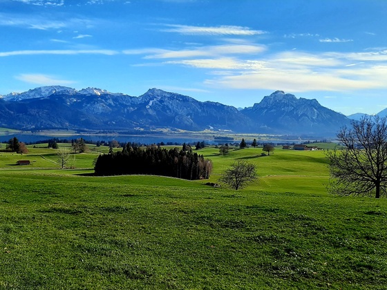 Panorama auf der Bilderbuchwanderung am Forggensee