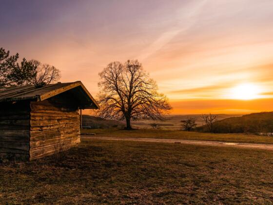 Sonnenuntergang an der Küpser Linde (c)frankenfreund.de