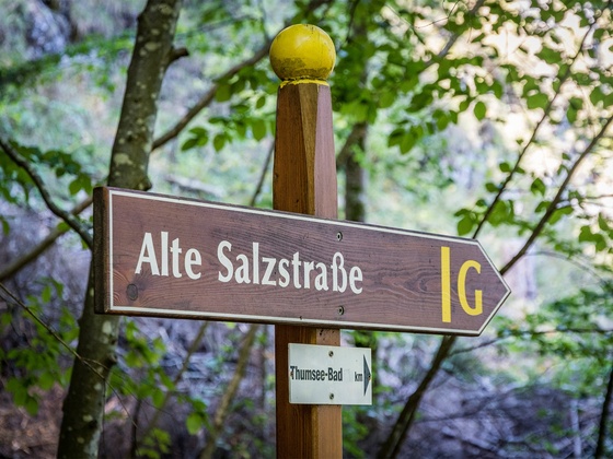 Teile des Wegs führen über den historischen Soleleitungsweg