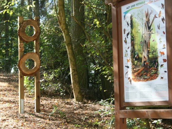 Naturlehrpfad Fürth am Berg