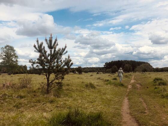 Landschaft Fröttmaninger Heide