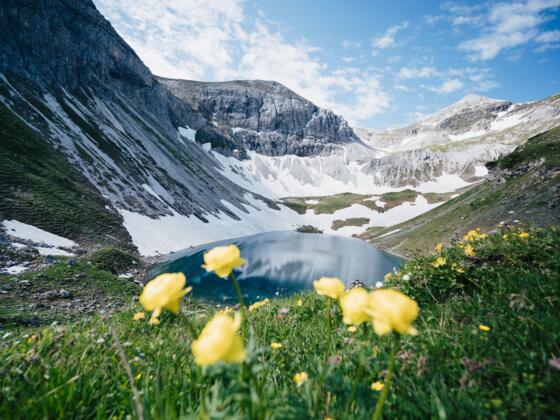 Wildsee