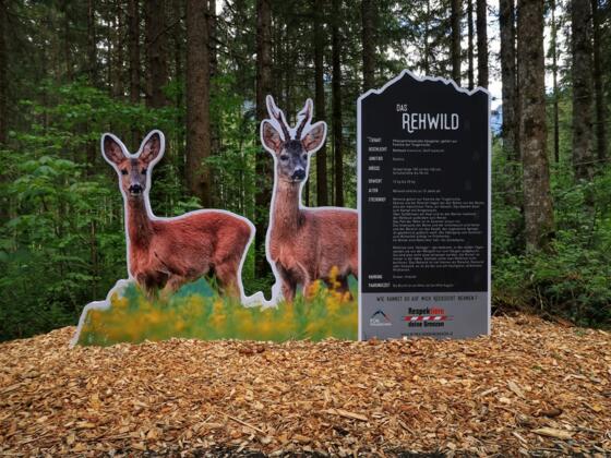 Wildtierlehrpfad Neukirchen