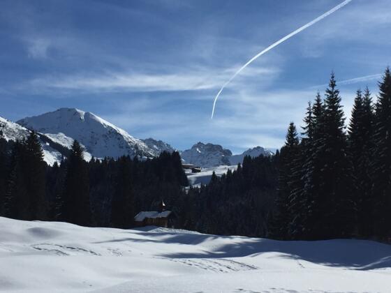 Winterwandern im Wäldele