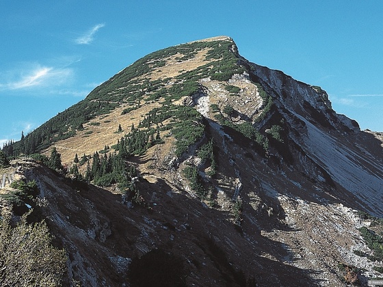 Sonntagshorn