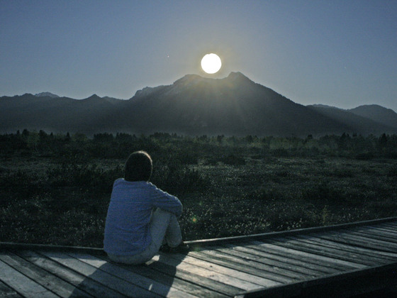 Vollmondspaziergang in der Kendlmühlfilze