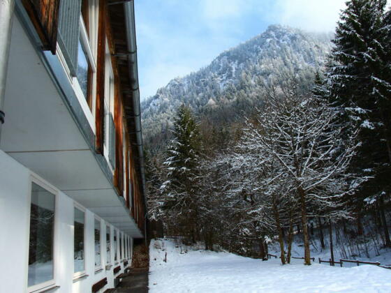 Blick auf die Brecherspitze