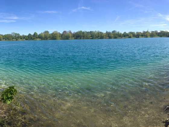 Fasaneriesee