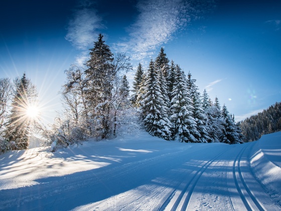 Langlaufloipe Flachauwinkl