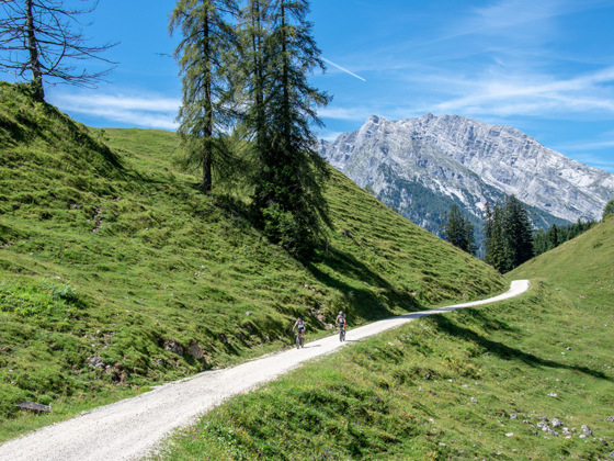 Mountainbiker auf dem Weg über die Büchsenalm zur Gotzenalm