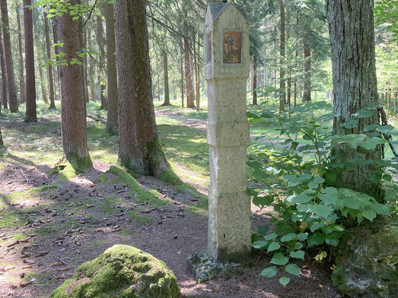 Schwarze Marter