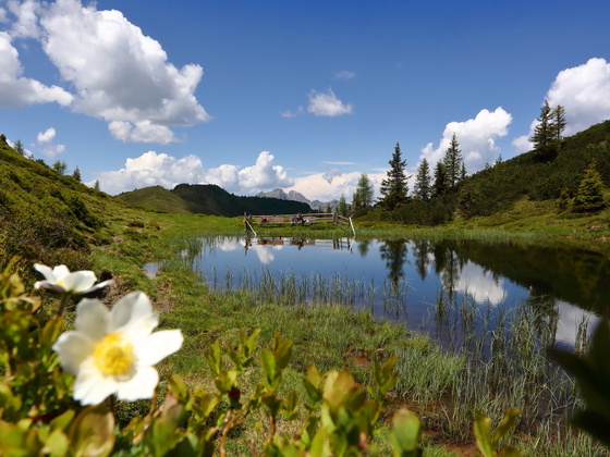 Trögseen
