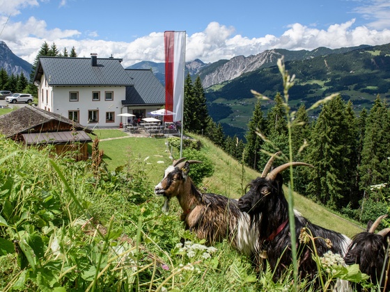 Berggasthof Grabs im Sommer