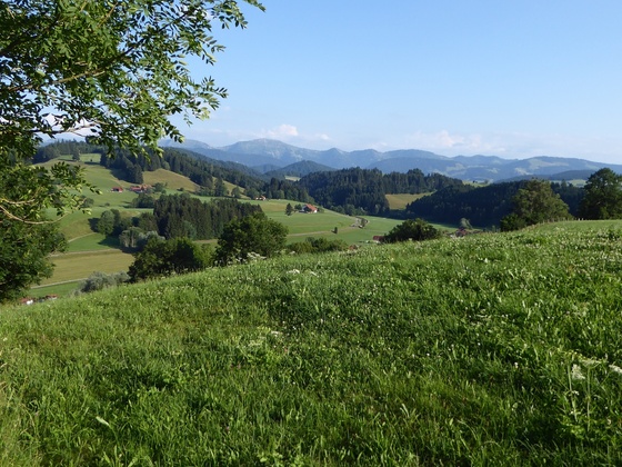 Blick zur Nagelfluhkette