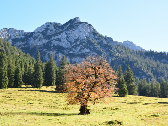 Ausblick auf dem Weg zur Vilser Alm
