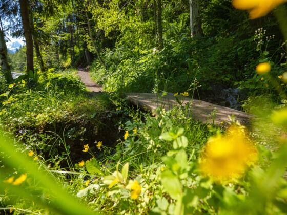 Talweg von St. Gallenkirch nach Partenen