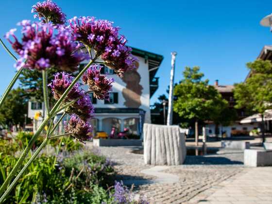 Brunnenanlage „Boot des Mönchs“ - Lindenplatz