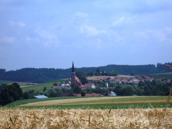 Blick auf Hirschhorn