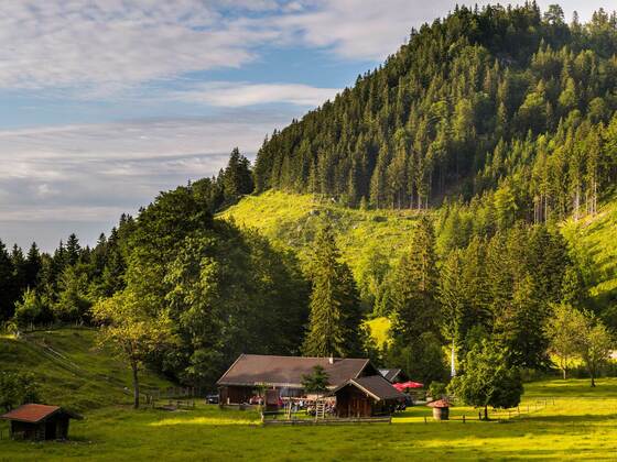 Samerberg - Blick auf die Doagl Alm