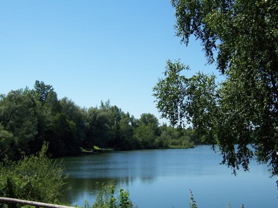Blick auf den Waldsee