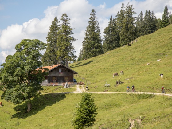 Bärenmoosalpe im Himmelreich am Kienberg