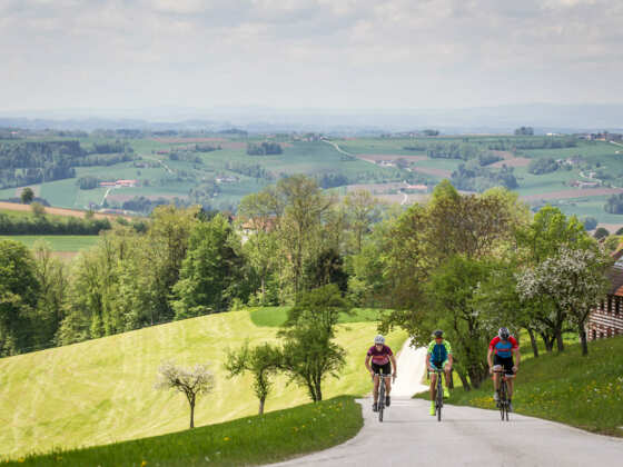 Radfahren in Bad Hall