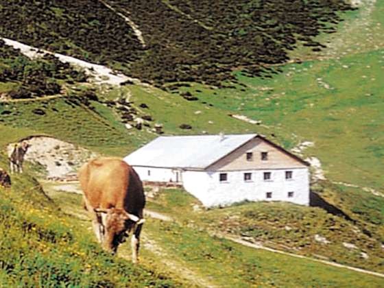 Stuiben-Sennalpe