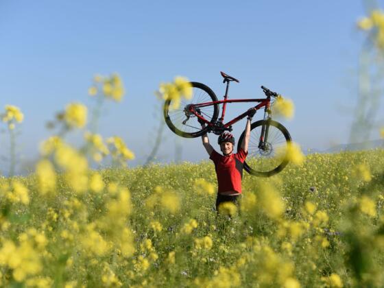 Radfahren in Bad Hall