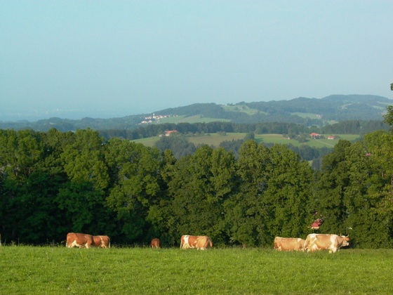 Blick vom Stadlberg