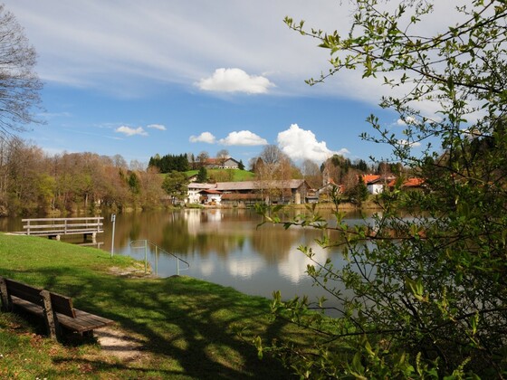 Lauser Weiher