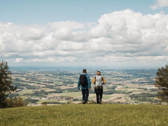 Wanderung über den Grillenparz mit Ausblick ins Kremstal