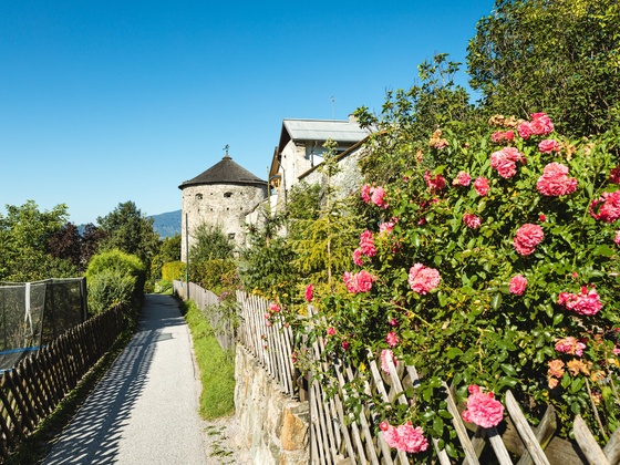 Rundgang um die Stadtmauer