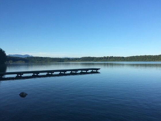 Hartsee