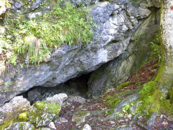 Eingang zum Schwarzenbachloch. Z11S