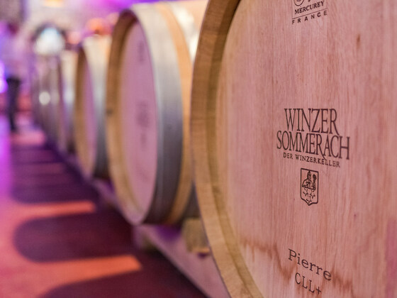 Im Keller des Weinreichs - Winzer Sommerach